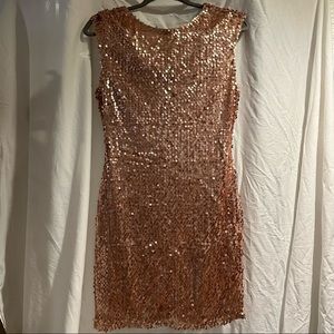green emerald velvet dress Plus Size Sequin Beaded Maxi Dress Petal Pink / 3X main image 0